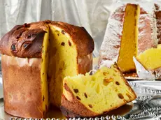 Christmas panettone and Pandoro on a silver plate with silver background