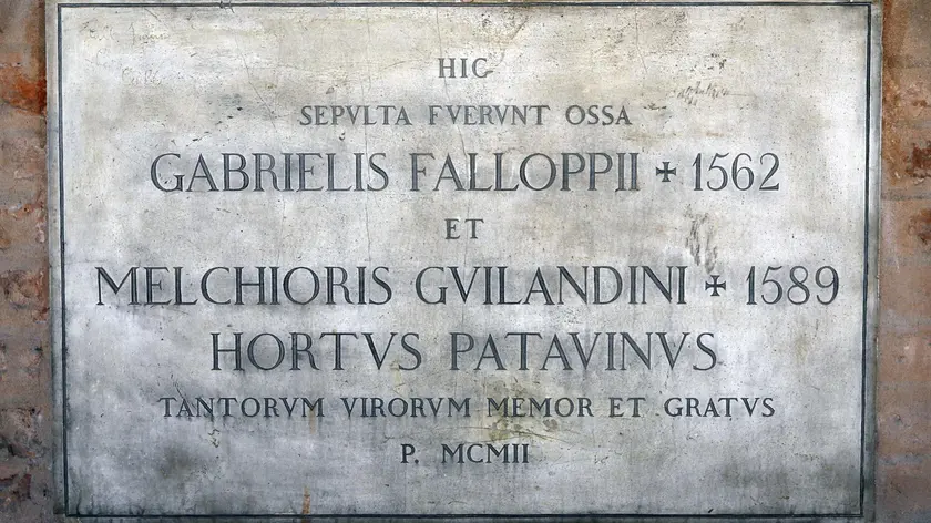 La tomba dove sono sepolti i due amanti al Santo di Padova