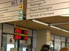 PD 25 FEBBRAIO 2004 G.M...PROTESTA DI PIERETTI IN OSPEDALE..(SALMASO) PROTESTA DI PIERETTI IN OSPEDALE (SALMASO)