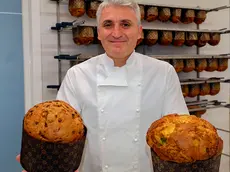 TOME-AGENZIA BIANCHI- PADOVA- PASTICCERIA ANTICO FORNO- PANETTONI. IL TITOLARE GIUSEPPE BONACCORSO.