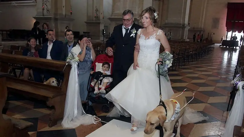 BARON - AGENZIA BIANCHI - PADOVA - MATRIMONIO CON CANE GUIDA A SANTA GIUSTINA