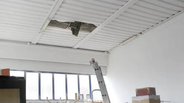 BELLUCO MORTALE SUL LAVORO CRAZY BODY PIOVE DI SACCO