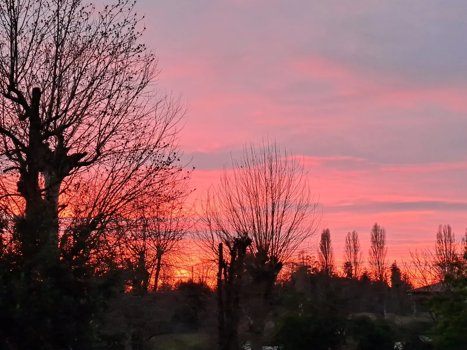 Un tramonto meraviglioso, quello di oggi, martedì 24 gennaio 2023. Ecco una galleria di foto scattate in Veneto