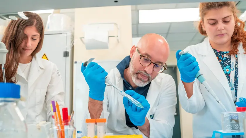 Ecco laboratorio store