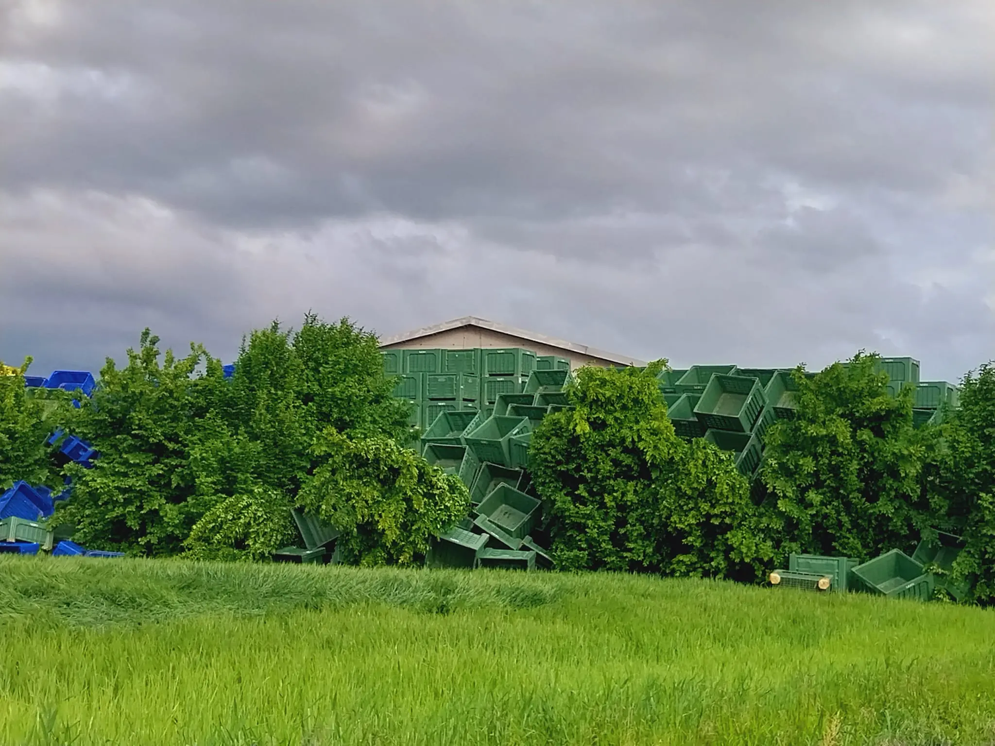 Altri danni causati dal tornado (foto Luca Tecchiato)