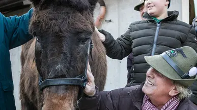 Allegranzi Anzano Il mulo alpino