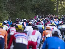 epa11631833 Riders compete on the climb up to Kyburg in the Men Elite Road Race at the 2024 UCI Road and Para-cycling Road World Championships in Zurich, Switzerland, 29 September 2024. EPA/TIL BUERGY