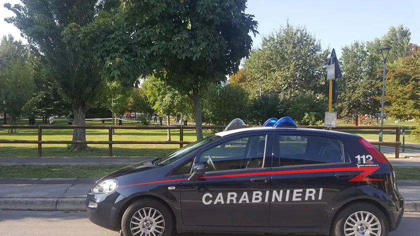L'arrivo dei carabinieri davanti al parco di Albignasego (foto PIRAN)