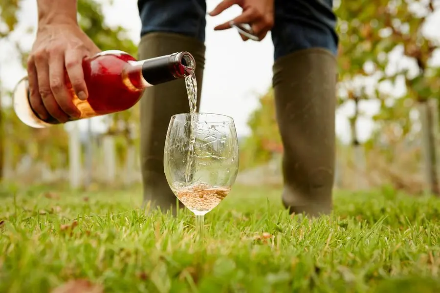 A person pouring rose wine from a bottle into a glass.