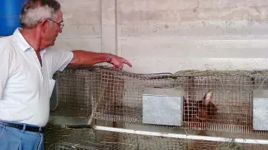 FURTI. Parpaiola e le gabbie vuote dei conigli