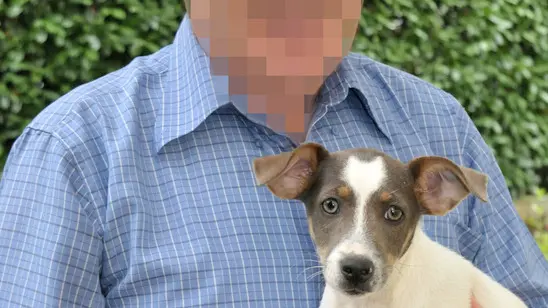 este 10/10/2012 rifiuto del canile di dare in adozione un cucciolo ad una coppia di settantenni nella foto : il nuovo cucciolo non acquistato al canile zangirolami