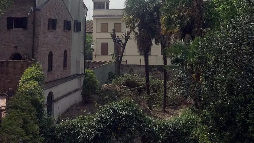 ZANETTI -AGENZIA BIANCHI-PADOVA - GIARDINO VERA SLEPOJ